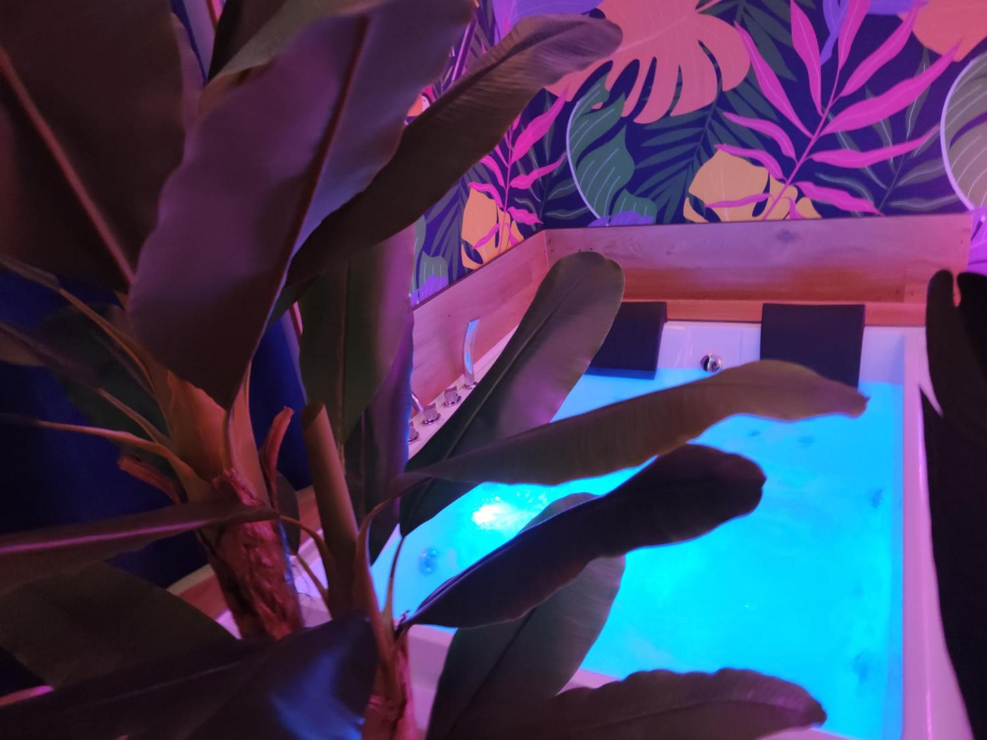 Suite Maison Tropical - Luxury Apartment In Bari Eksteriør billede